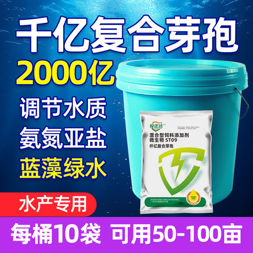 千亿芽孢肥水改底分解有机质