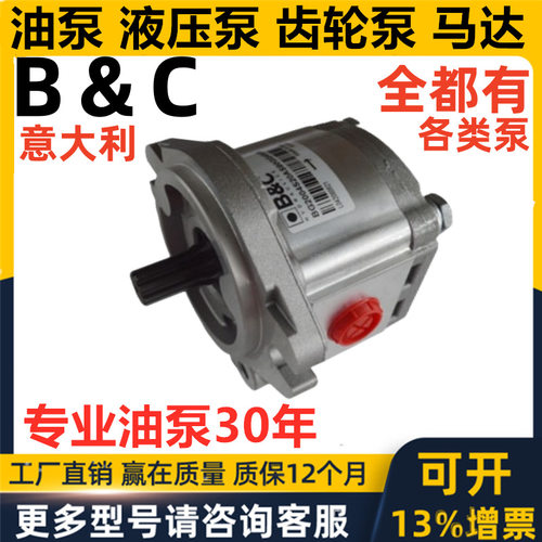 意大利B&C齿轮泵BG2004S20AS90GG4S00 B+C HYDRAULICS油泵马达eac