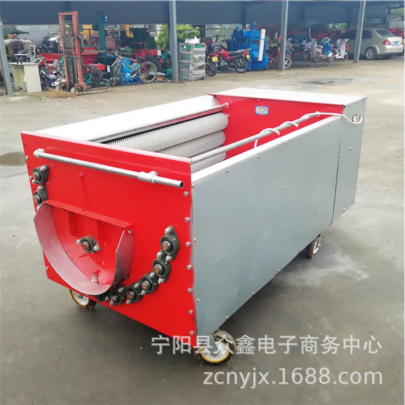 全自动核桃去皮机商用大型核桃去皮清洗机核桃剥壳机