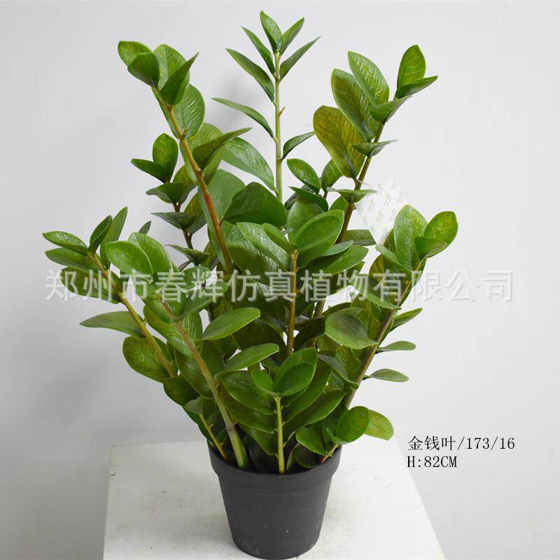 仿真金钱树绿植小盆栽假树仿真树客厅装饰摆件仿真摇钱树金钱叶树