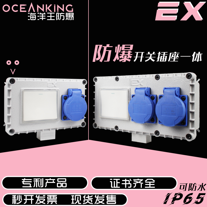 EX防爆开关插座一体防水明装墙壁五孔十孔户外照明工业开关220v