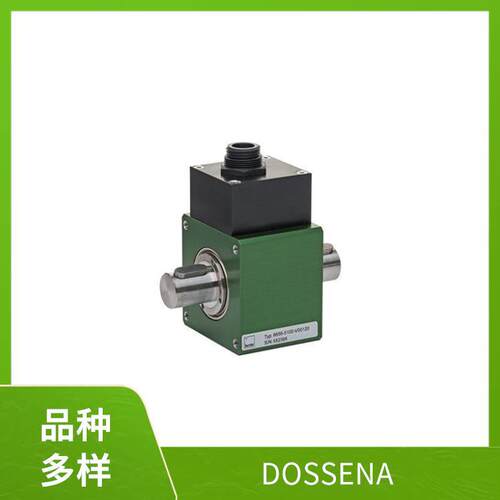 DO9D300M意大利进口合成继电器