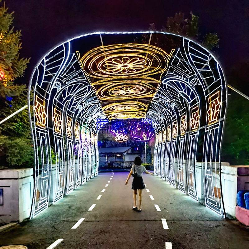 图案拱门造型灯景区入口亮化工程户外景区灯光隧道造型跨街灯