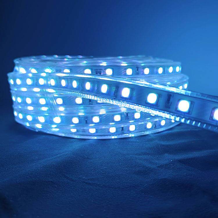 LED户外防水灯带RGB5050灯带220V长10米现货清