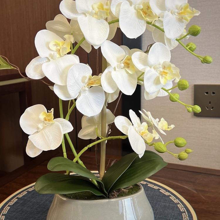 花蝴蝶兰套装手感假花盆栽客厅餐桌摆放绢花中式陶瓷花卉摆件
