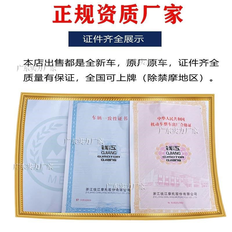 钱江牌飞虎150c跨骑跑车平衡轴燃油省油男装摩托车国四电喷可上牌