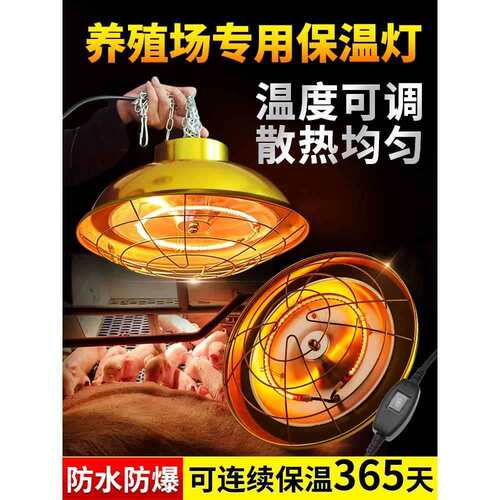 保温灯养殖场卤素猪仔育雏灯罩小猪暖灯取暖灯保温灯泡加热灯