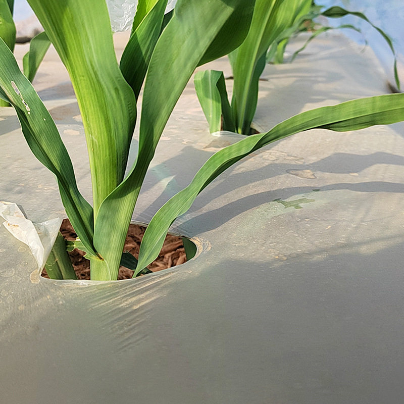 农用全生物降解薄膜透明除草黑白覆盖地膜塑料pbat10kg、卷