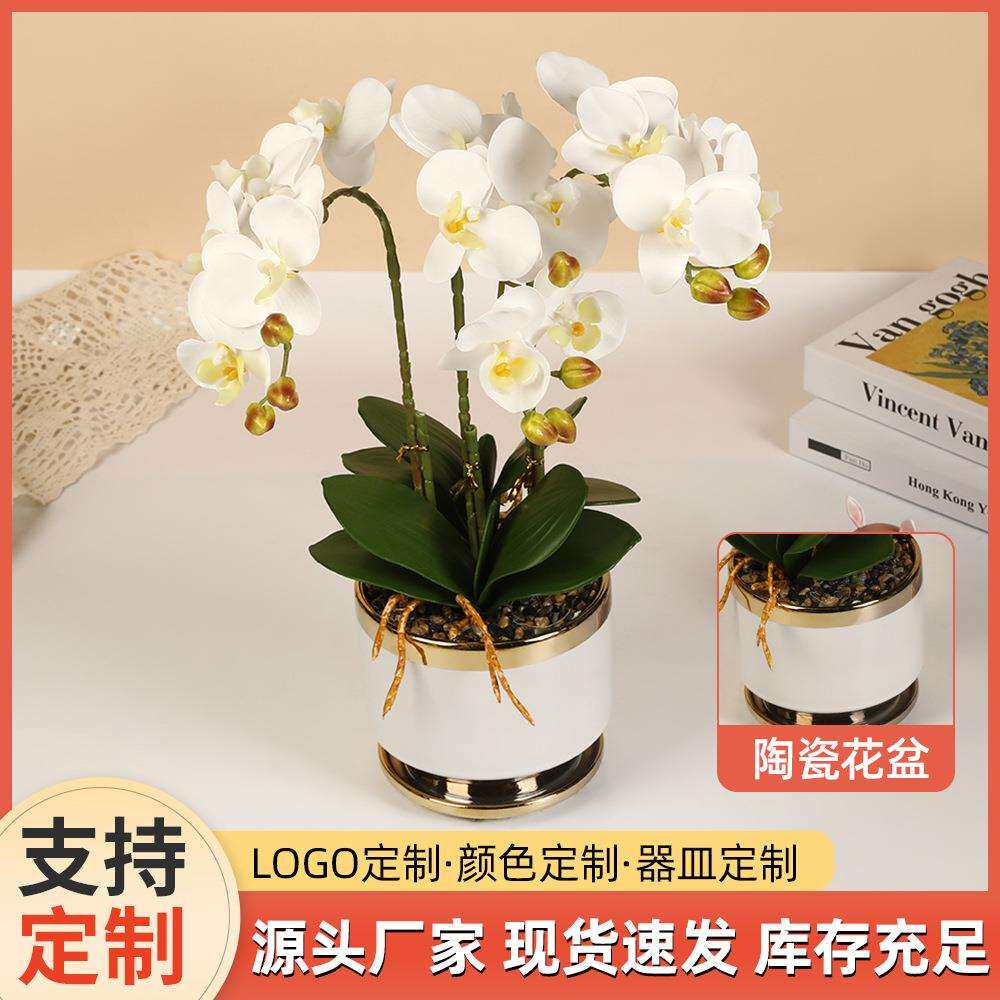 北欧风电镀蝴蝶兰陶瓷盆栽客厅卧室装饰假花盆景仿真手感绿植摆件