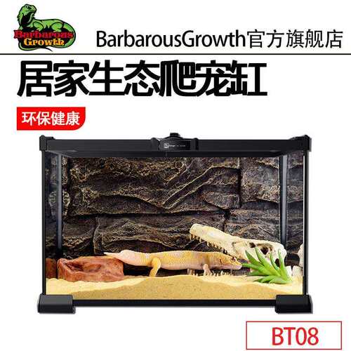 玻璃饲养箱爬虫缸雨林水陆缸爬宠陆龟守宫蜥蜴角蛙蜘蛛甲虫生态缸