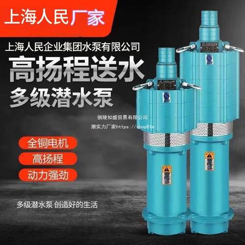 上海人民QY油浸小老鼠农用灌溉工程降水抽水泵多级泵高扬程潜水泵