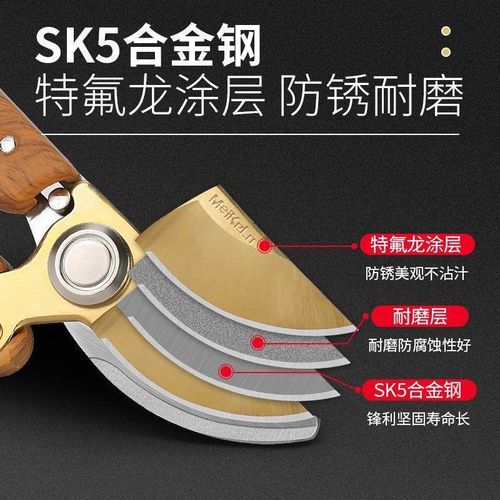 修枝剪园艺剪刀剪树枝专用园林修剪果树修枝花艺修花剪剪枝剪粗枝