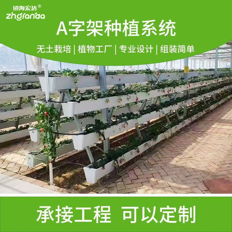 草莓番茄无土立体高架种植槽