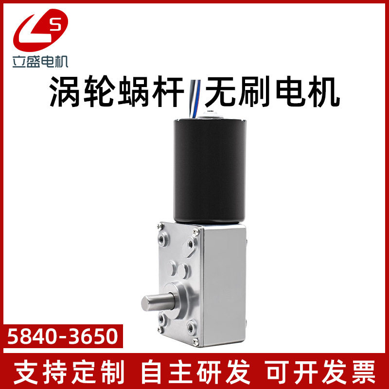 5840-3650直流无刷减速电机低速大扭力蜗轮蜗杆调速微型电机马达