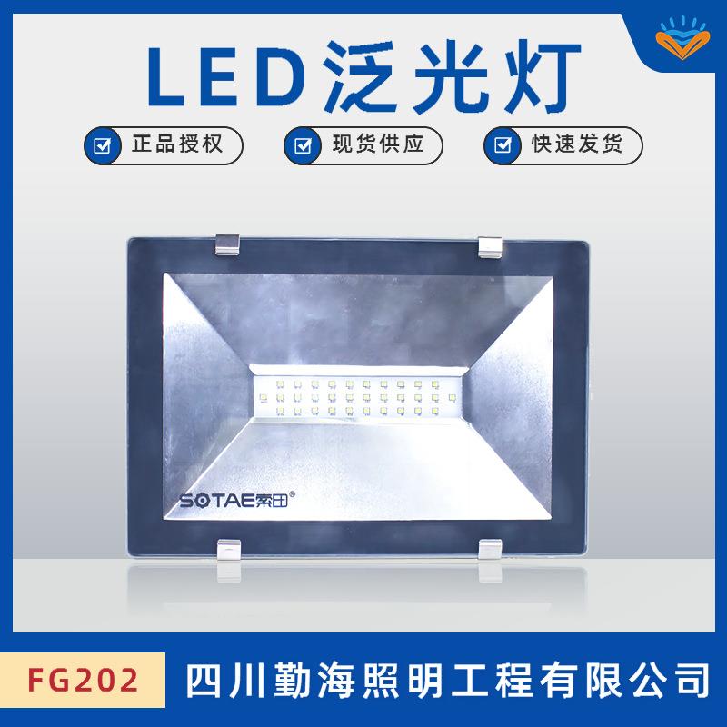 FG202A室外照明泛光灯30W 50W大型建筑立面照明设施小精灵系列