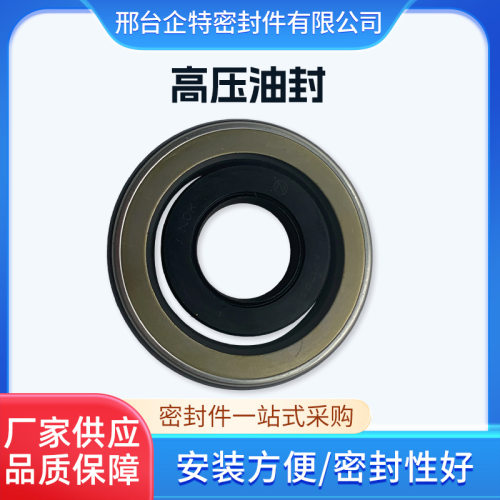 CN型铁壳高压骨架油封TCN高压油封NOK耐高压骨架油封 AP3055F