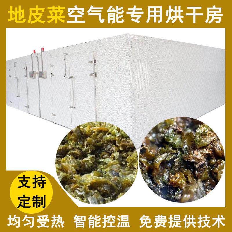 大型地皮菜地木耳烘干机热泵式地达菜烘干房空气能地软干燥设备