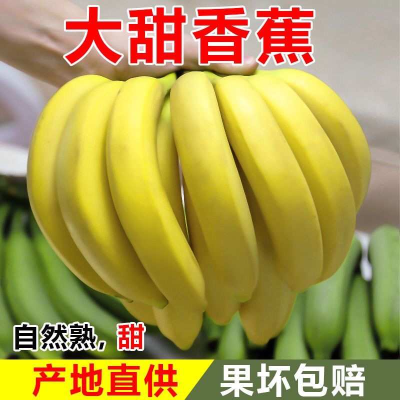 高山甜香蕉9斤新鲜水果当季现摘大芭蕉青皮甜香蕉整箱自然熟10