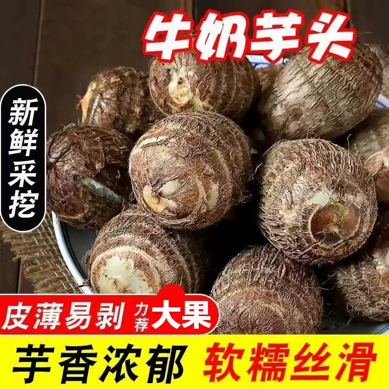 2026新挖牛奶毛芋头5斤新鲜小芋头当季蔬菜小奶芋农家小香芋粉糯