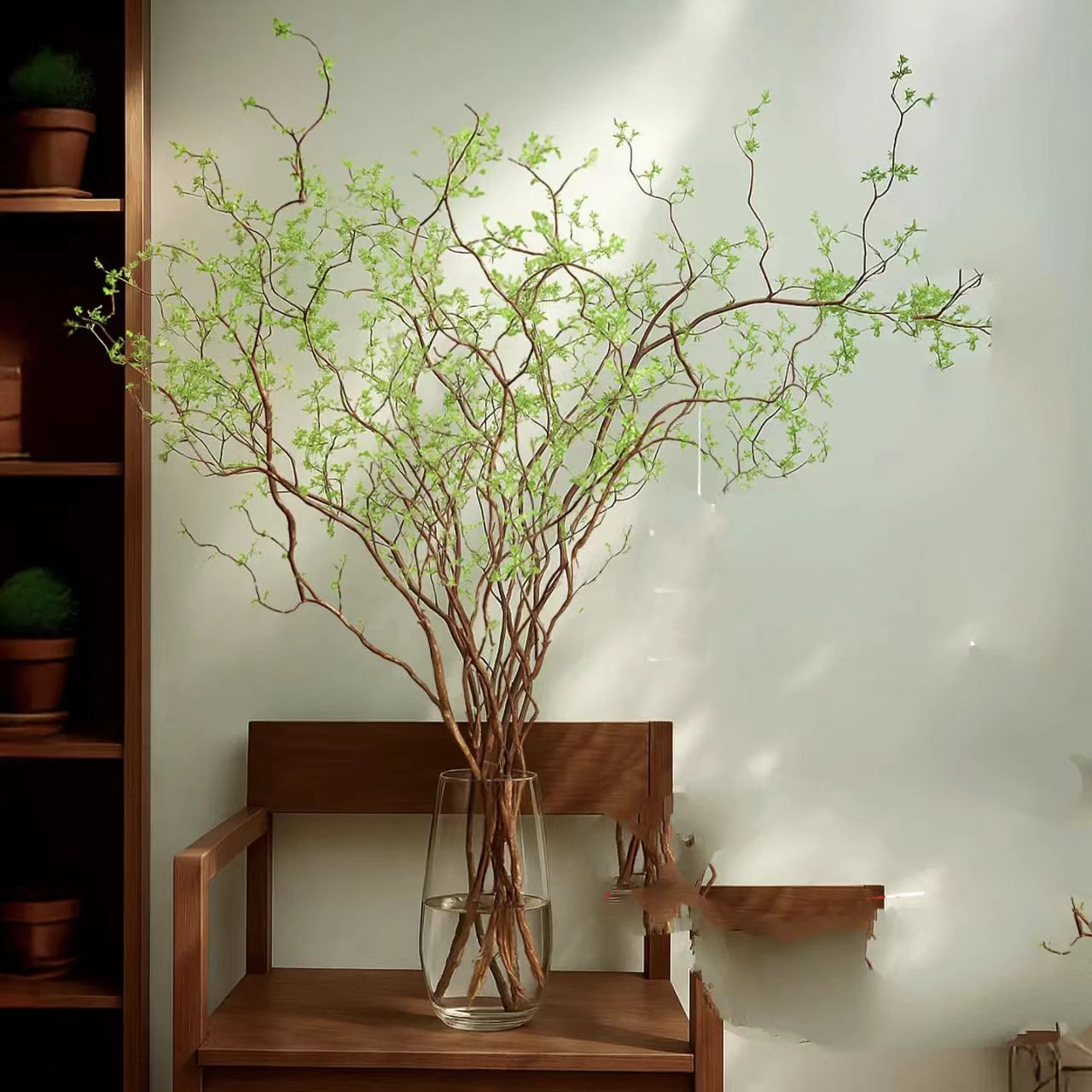 【黄金龙柳1束（10支）1米】一单包邮两单升级快递