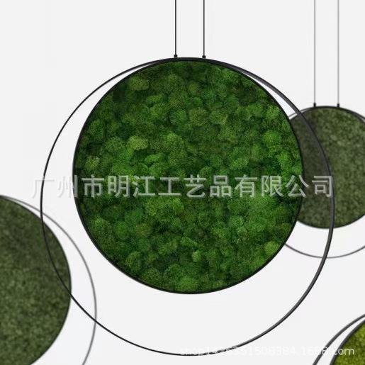 永生苔藓绿植挂件饰立体植物墙绿植墙面吊饰铁艺样板房装饰软装