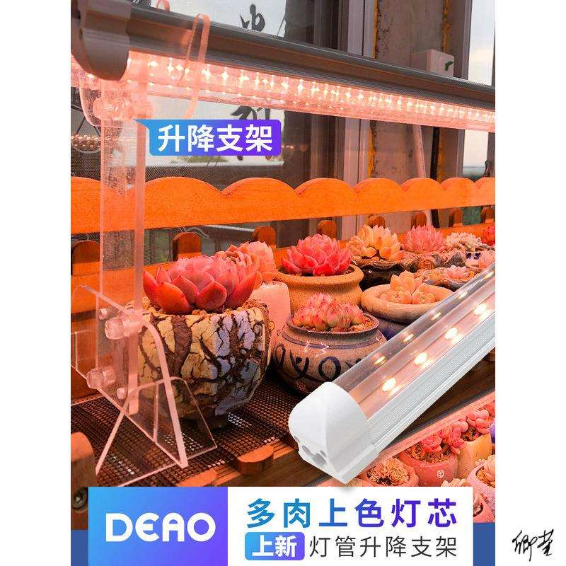 植物补光灯led微景观水室缸盆夹子盆栽草莓水培生长灯育苗植物灯