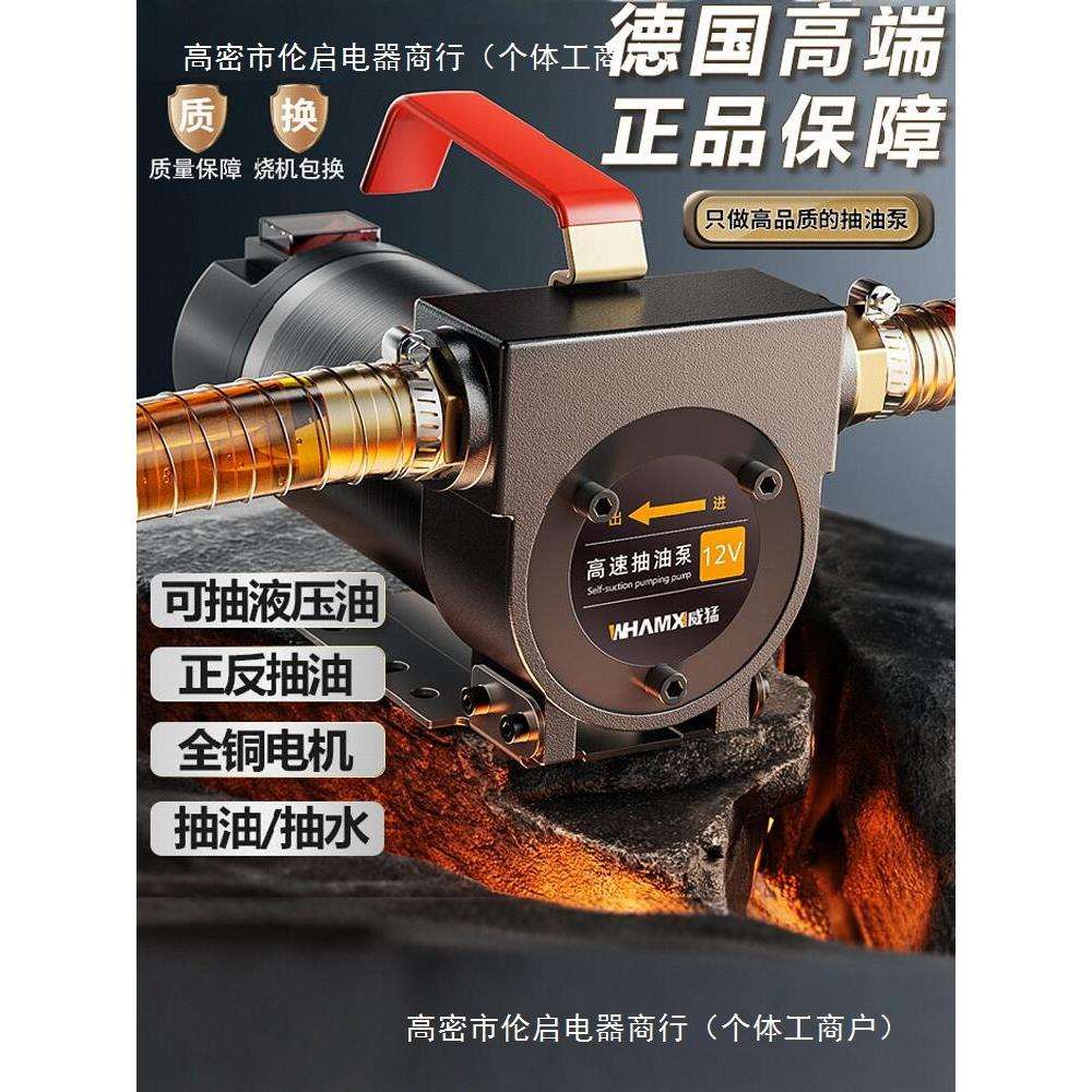 电动抽油泵12v24v220v通用柴油泵输油泵抽油机抽水泵自吸泵加油机