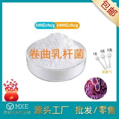 卷曲乳杆菌1000亿cfu/g 乳酸菌冻干益生菌粉 现货供应【10Z0g/袋