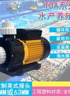 TDA100凌霄海水泵工厂化循环水养殖设备蛋白分离系统过滤循环水泵