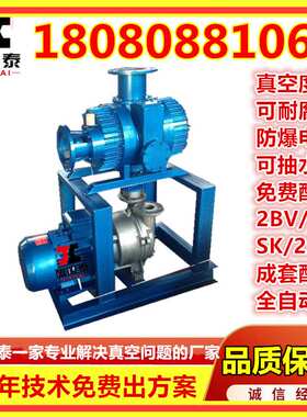 JZJS罗茨水环真空机组实验室真空灭菌水环罗茨真空机组双级罗茨泵