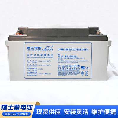 理士蓄电池 DJM1265S/12V65AH 铅酸免维护LEOCH理士蓄电池