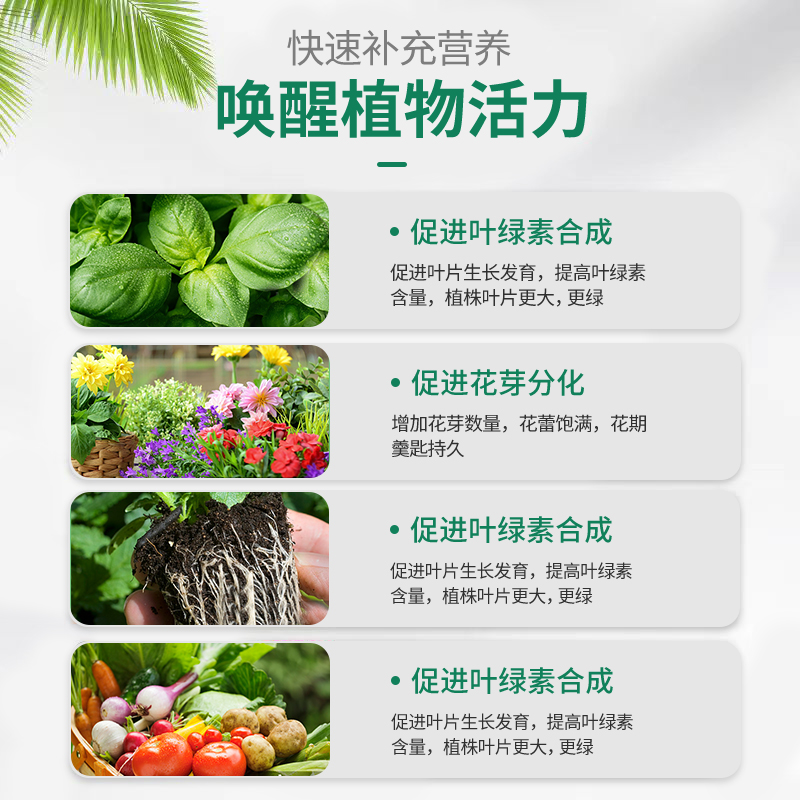 长效花肥料家用盆栽通用型缓释肥植物花卉绿植多肉专用复合肥颗粒