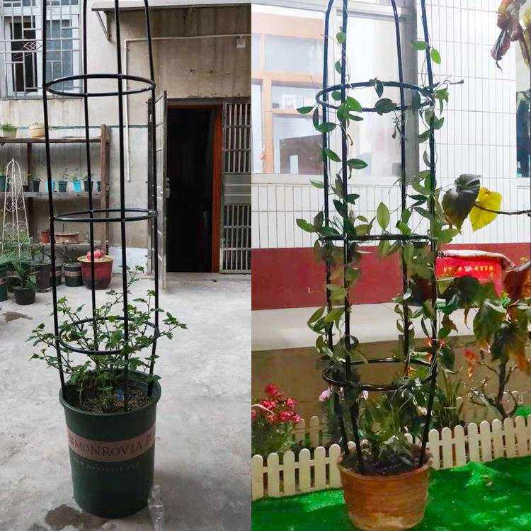 阳台铁艺花架爬藤架月季铁线莲户外柱形欧式花架盆载花支撑架新款