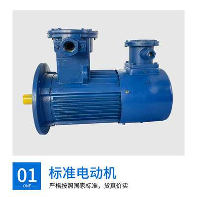 YBBP系列防爆电机卧式立式立卧式型号齐全交流电质量保障厂家发货