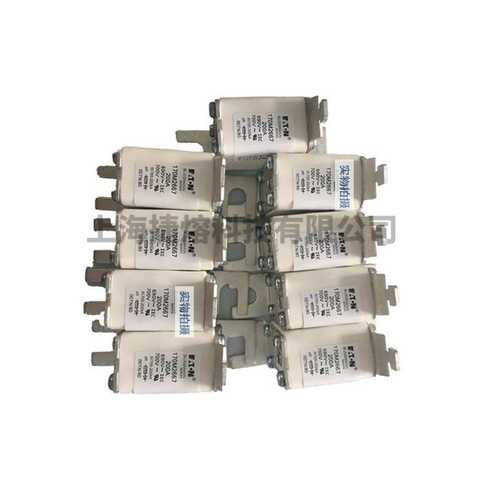 170M2666 170M2667 快速熔断器  电子元器件 型号齐全 量大价优