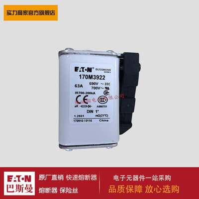 熔断器170M3923 170M3924 170M3925 170M3926 170M3927 170M3928