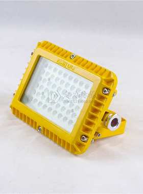 低电压20W30W40W50WLED防爆壁灯隧道防爆灯厂家24V36V管廊恒亮