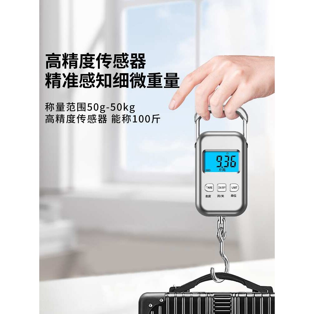 2025新款便携式手提电子秤精准家用小型高精度商用称重弹簧称鱼器