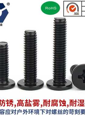 CM2x4→2x12黑色防锈扁平头螺丝钉304不锈钢耐腐蚀高盐雾达克罗