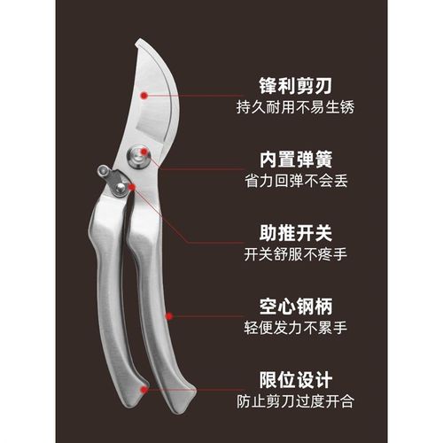 园艺剪枝剪刀修枝剪不锈钢果树园林树枝盆景修剪造型专用剪子工具
