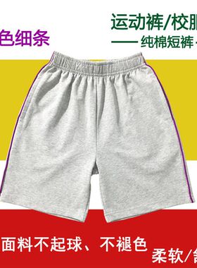 夏季短裤浅灰色纯棉紫色细条纹中小学生男女童运动裤宽松5分裤薄