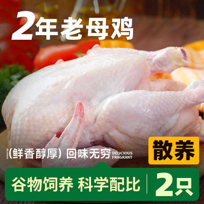 2年黄油老母鸡活鸡现杀农家土鸡