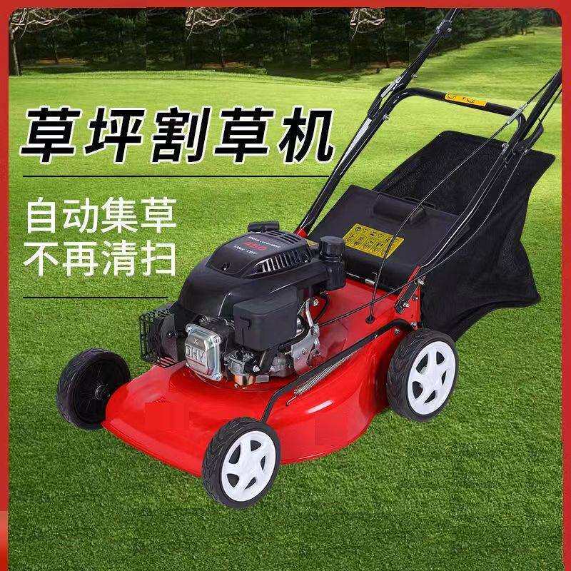 全国发货汽油手推草坪机 20寸大草袋收草机 球场公园用自走割草机