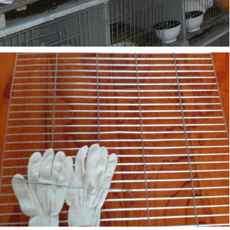 加粗镀锌小长孔电焊网铁丝网片网格丝养殖卷网鸡鸽笼鸟笼阳台垫底