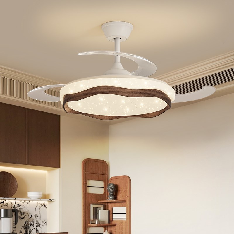 隐形风扇灯卧室吸顶灯2025年新款简约现代静音电扇一体餐厅吊扇灯