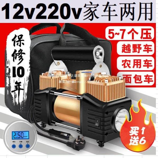 家车两用充气泵12v220v越野车小车冲气泵自动打气多功能加气泵