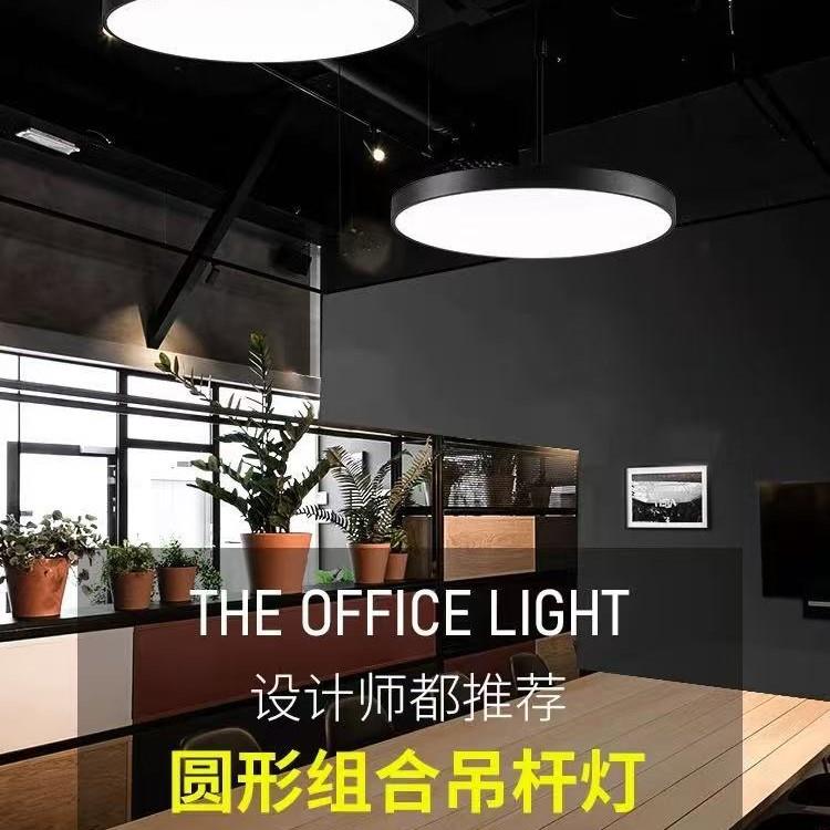 彩虹含羞草苗小盆栽含差草苗彩叶害羞草室内学校阳台桌面趣味绿植