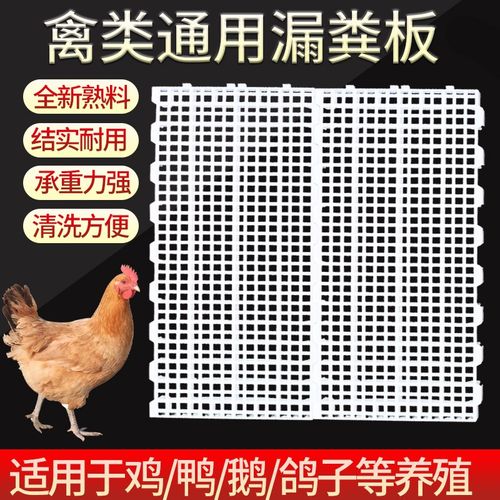 养鸡用鸡粪漏粪板鸡笼漏粪网养殖鸡鸭鹅脚垫鸡舍小鸡塑料漏屎地板