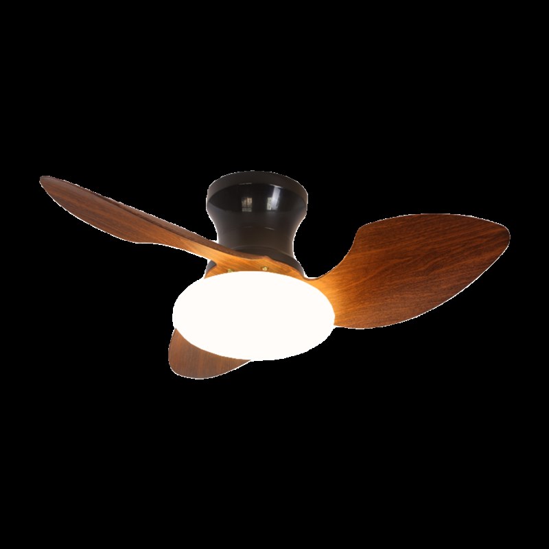 全光谱智能吸顶风扇灯卧室家用变频护眼吊扇灯北欧简约书房灯casa