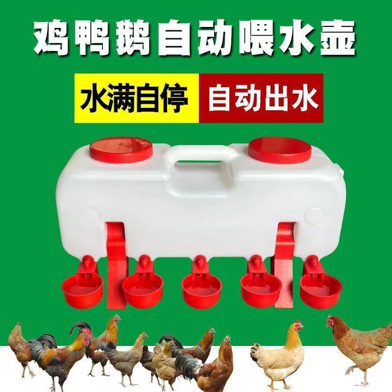 小鸡喝水饮水器家禽鸡鸭鹅鸽子户外养殖专用饮水碗大号自动喂水桶